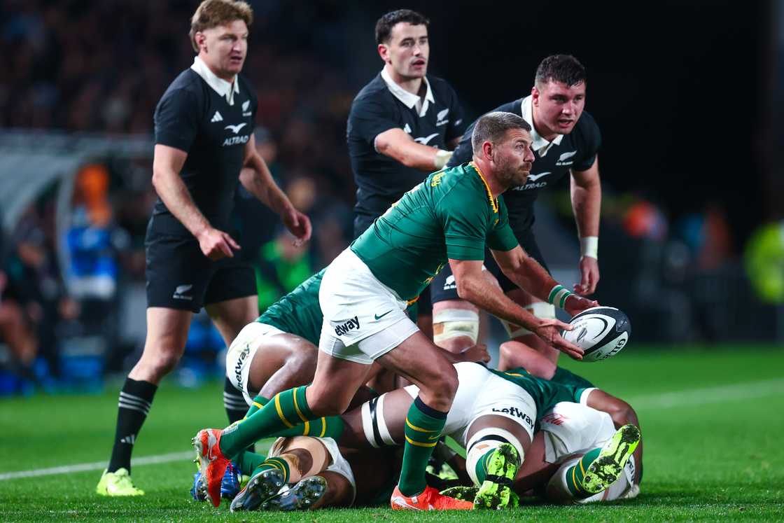 Springboks, Willie Le Roux, New Zealand, Rugby Championship Springboks, Willie Le Roux, New Zealand, Rugby Championship