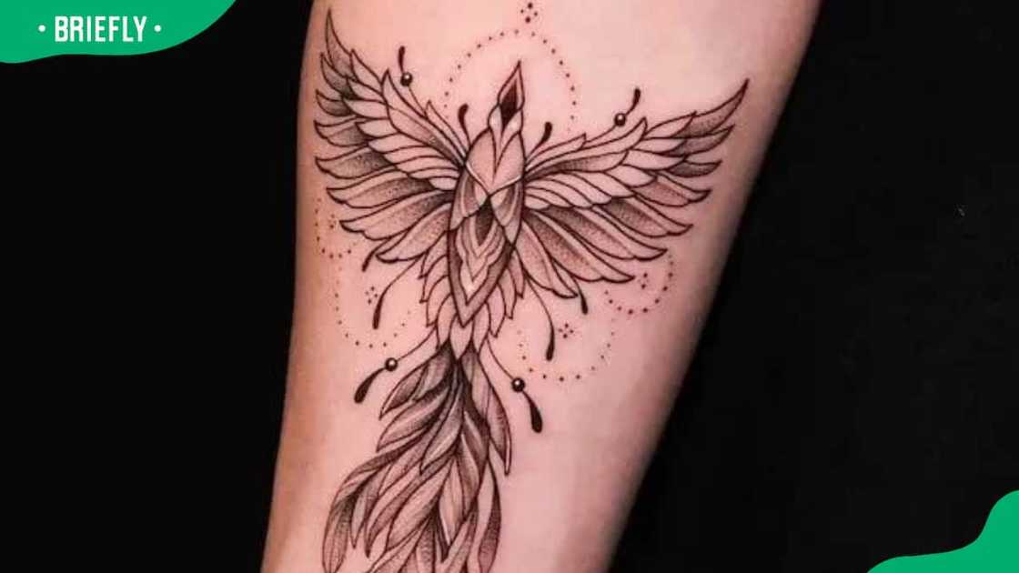 Detailed phoenix tattoo Detailed phoenix tattoo