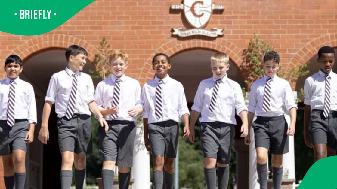 The visual captured the school featured among top 100 best schools The visual captured the school featured among top 100 best schools
