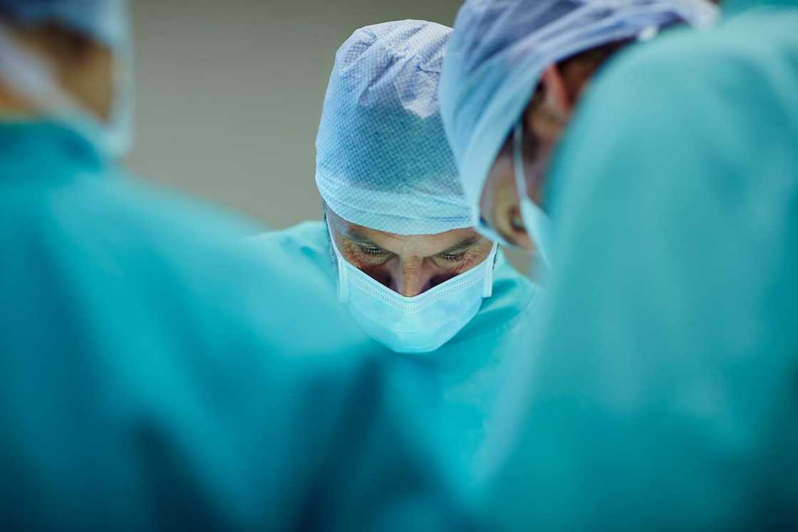 types of doctors in South Africa types of doctors in South Africa