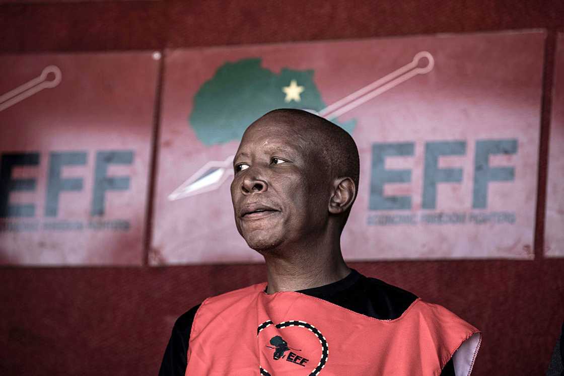 Julius Malema fiercely denied the allegations LEbo Keswa made about him