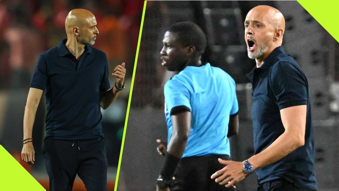 Miguel Cardoso wants to bring a new style to Mamelodi Sundowns. Miguel Cardoso wants to bring a new style to Mamelodi Sundowns.