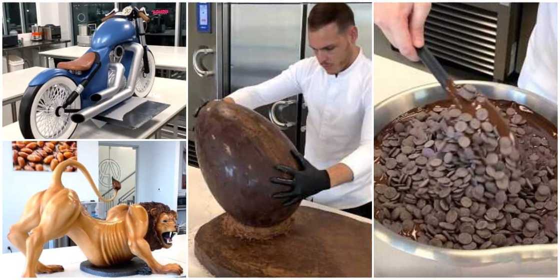 Massive reactions as man creates lion and motorbike with chocolates in thrilling video Massive reactions as man creates lion and motorbike with chocolates in thrilling video