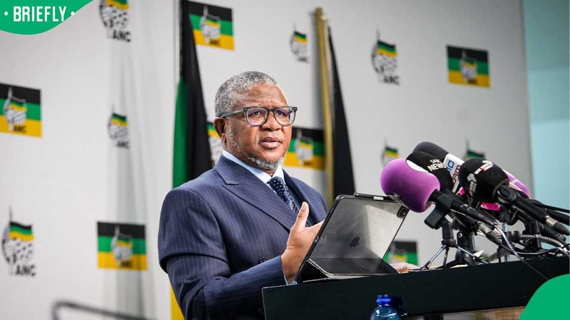Fikile Mbalula weighed in on the 30 June national shutdown
