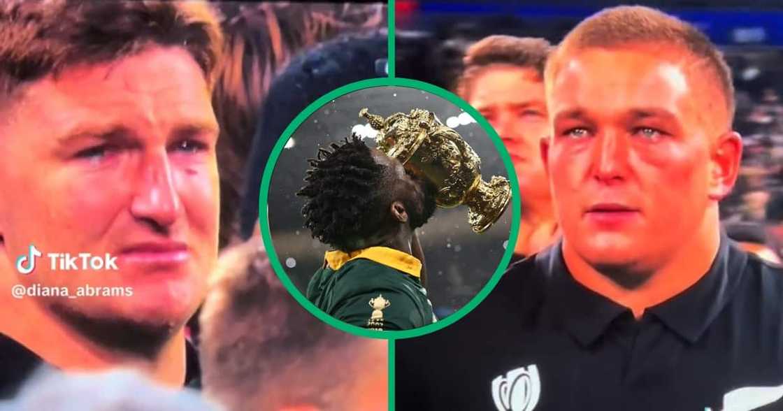 South Africa beat New Zealand South Africa beat New Zealand