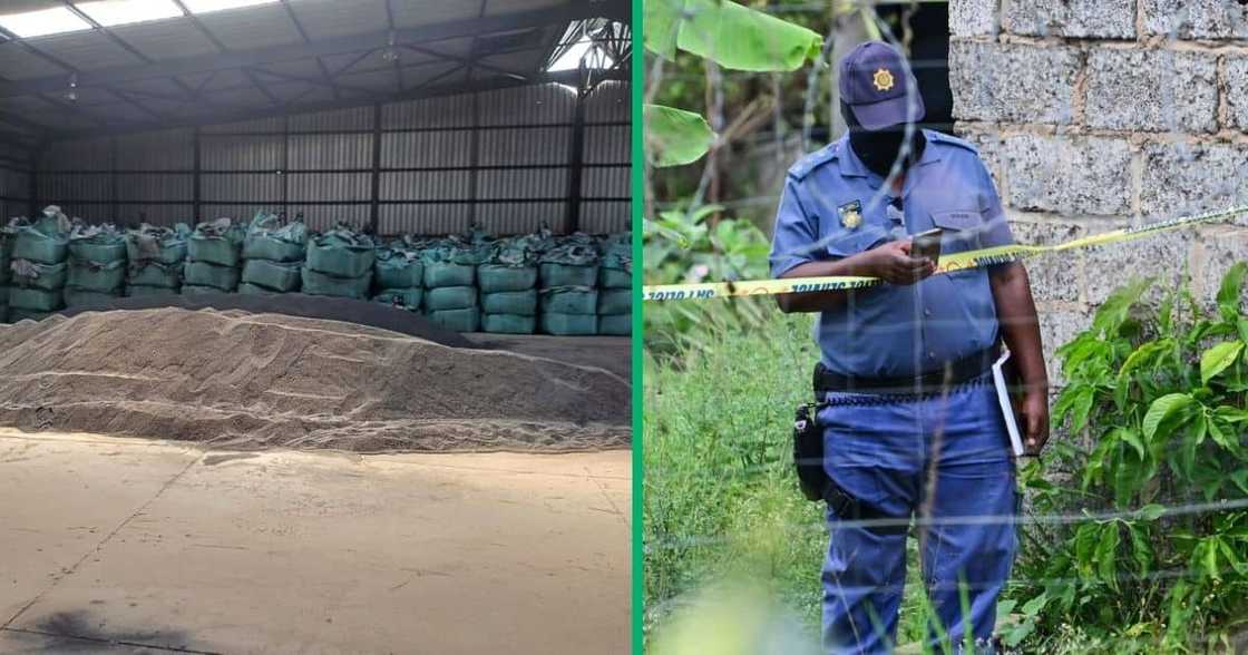 Police are on the hunt for a mineral syndicate. Police are on the hunt for a mineral syndicate.