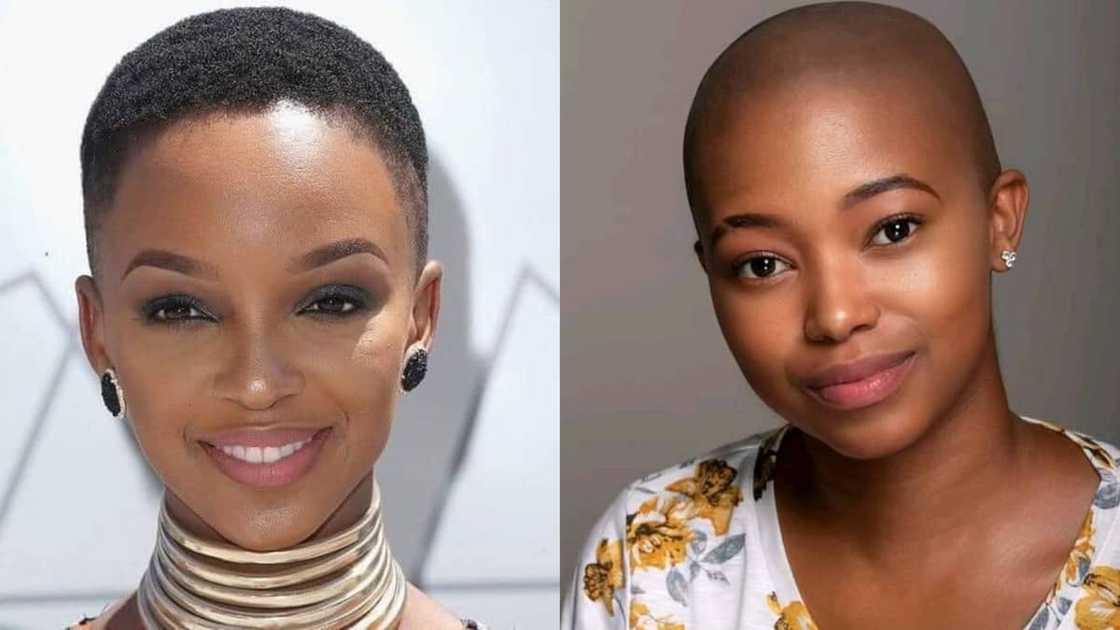 short hairstyles short hairstyles