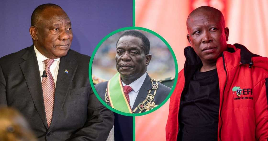 Collage image of President Cyril Ramaphosa, Zimbabwean President Emmerson Mnangagwa and EFF leader Julius Malema Collage image of President Cyril Ramaphosa, Zimbabwean President Emmerson Mnangagwa and EFF leader Julius Malema
