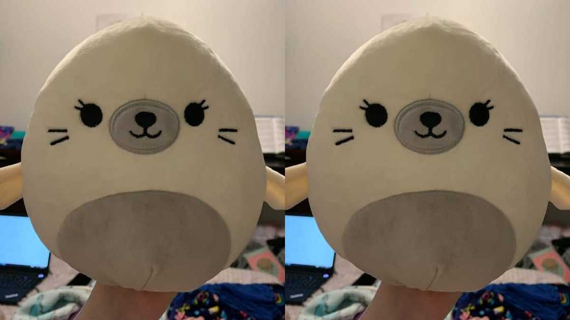 Lucille and mini Lucille Squishmallow Lucille and mini Lucille Squishmallow