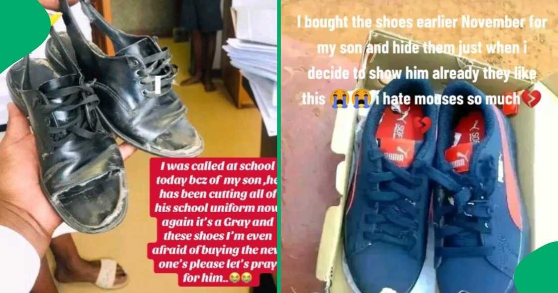 SA amused by boy's behaviour SA amused by boy's behaviour