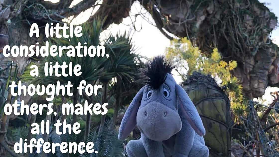 positive inspirational eeyore quotes positive inspirational eeyore quotes