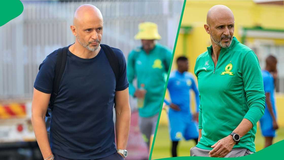 Mamelodi Sundowns coach Miguel Cardoso wants better referees in the PSL. Mamelodi Sundowns coach Miguel Cardoso wants better referees in the PSL.
