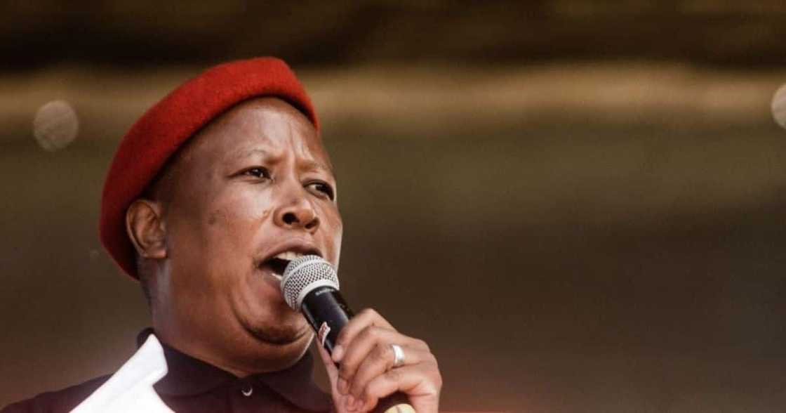 Julius Malema, EFF, Economic Freedom Fighters, Afriforum, Equality Court, Kill the Boer, racism, court, South Africa Julius Malema, EFF, Economic Freedom Fighters, Afriforum, Equality Court, Kill the Boer, racism, court, South Africa