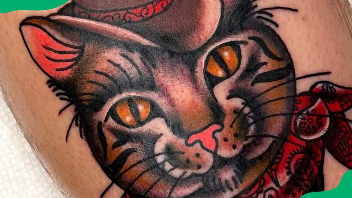 Tough kitty Tough kitty