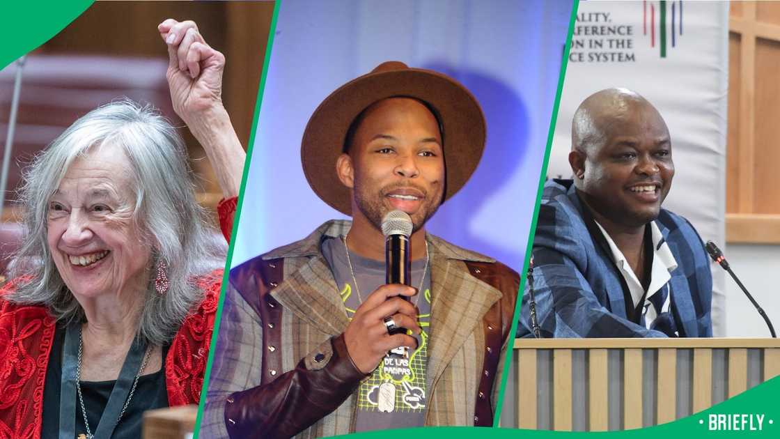 Sizwe Dhlomo reacts to Mary De Haas' meltdown in Parliament