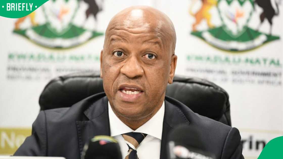 Thamsanqa Ntuli urged anti-illegal immigration protesters to guard against criminal elements