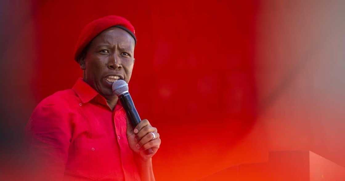 EFF's Julius Malema Cuts Pay of 2 Leaders Who Did Not Provide Monthly Reports EFF's Julius Malema Cuts Pay of 2 Leaders Who Did Not Provide Monthly Reports
