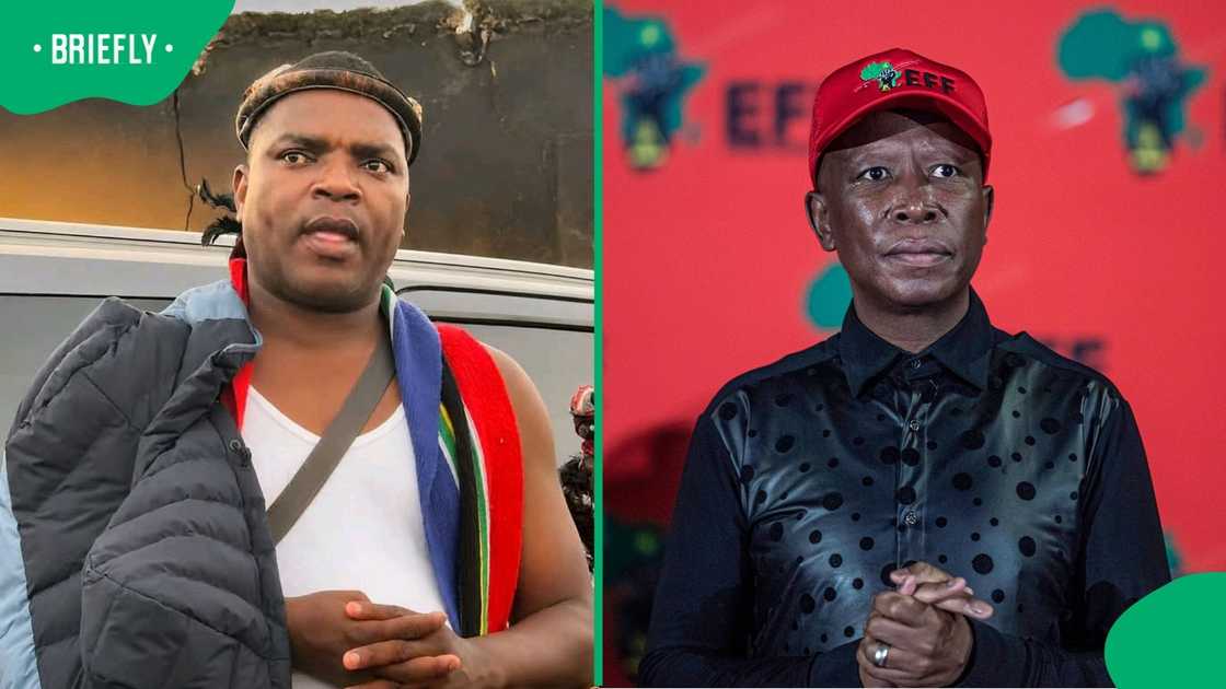 Ngizwe Mchunu said that he was willing to prove that Julius Malema was protecting illegal foreign nationals Ngizwe Mchunu said that he was willing to prove that Julius Malema was protecting illegal foreign nationals