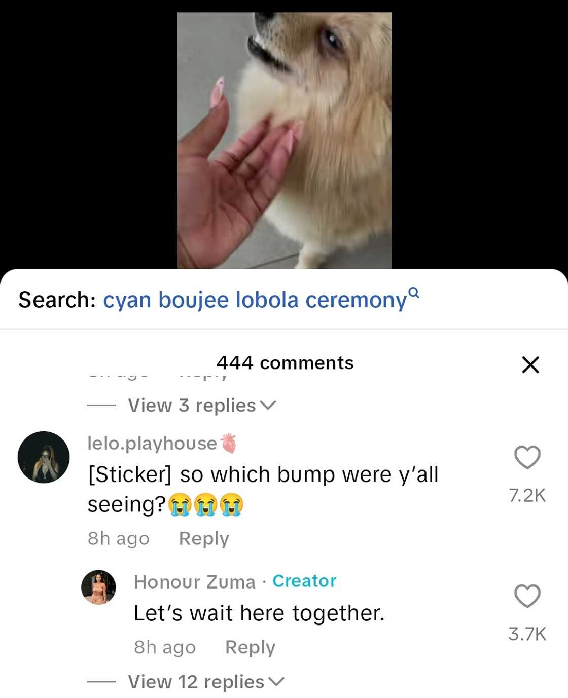 Cyan Boujee responds to pregnancy rumours