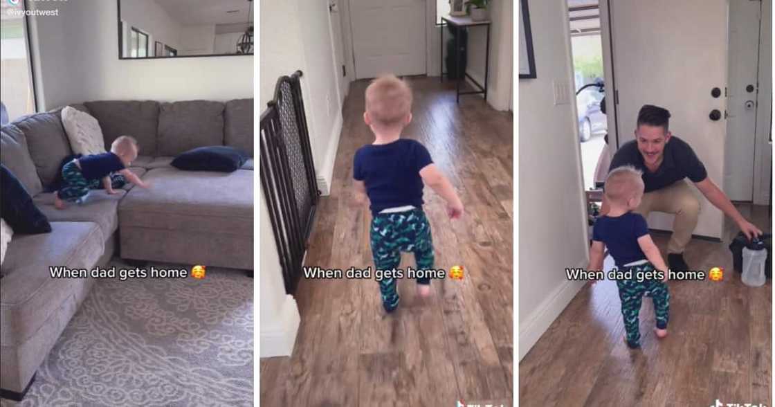 A tiny tot reacted adorably to his dad coming home from work. A tiny tot reacted adorably to his dad coming home from work.