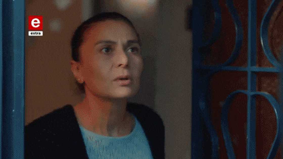 Voëlvry teasers October 2021 Voëlvry teasers October 2021