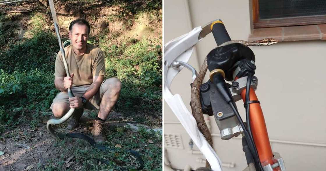 Nick Evans holding a snake and a Vine Snake on a bike