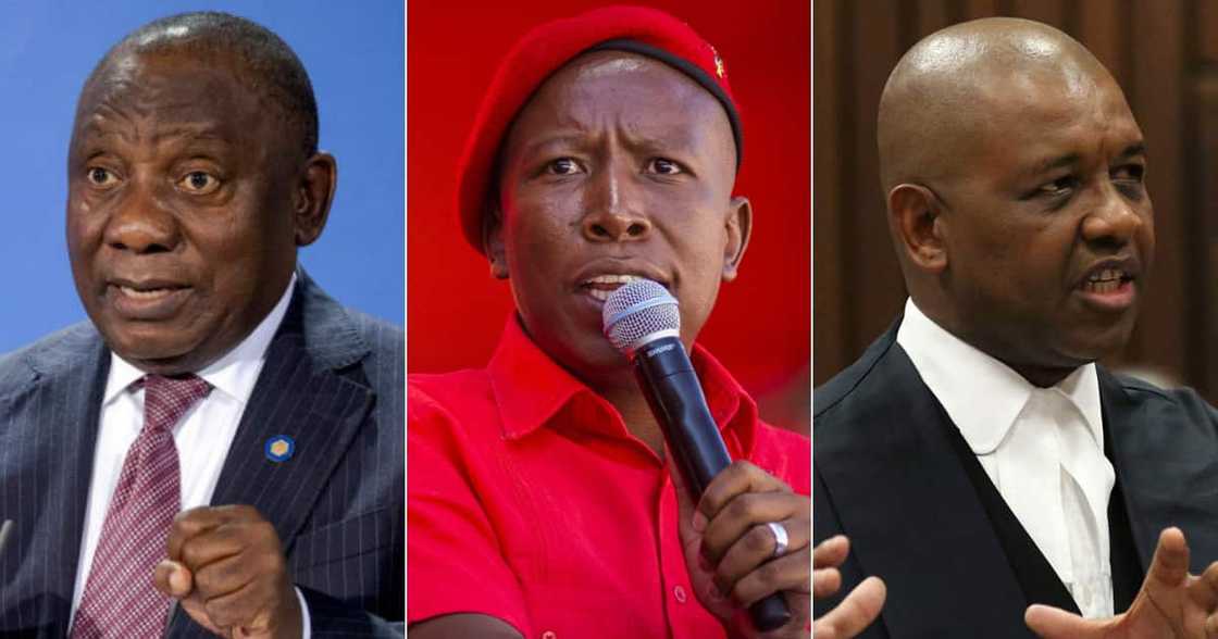 Julius Malema, Dismissal, Letter, Cyril Ramaphosa, Dali Mpofu, Twitter reactions