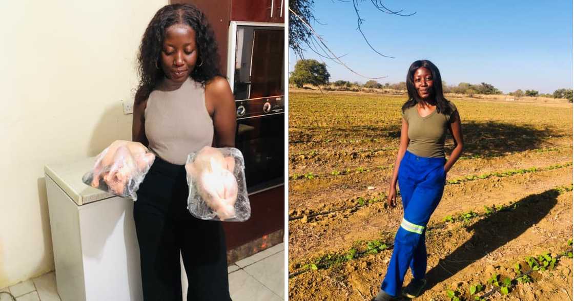 A reputable hotel approached a determined young farmer to supply them with chicken. A reputable hotel approached a determined young farmer to supply them with chicken.