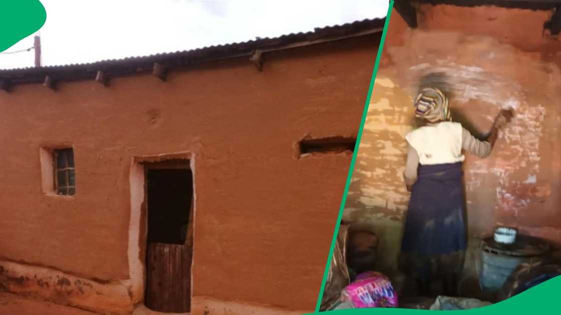 Man improves gogo's house