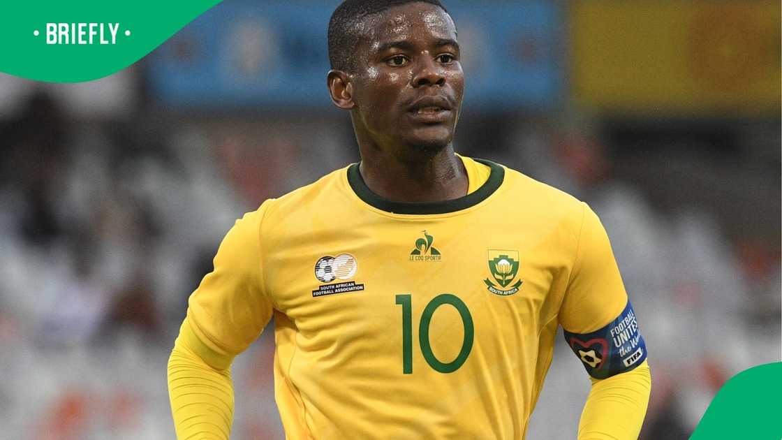 Nasreddine Nabi urged to sign Neo Maema from Mamelodi Sundowns.