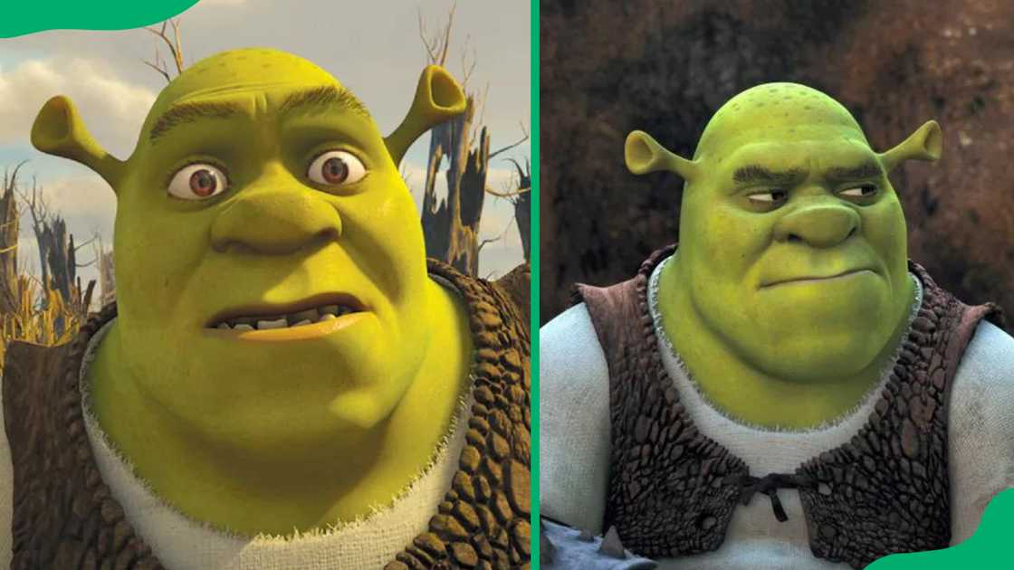 Shrek from Shrek