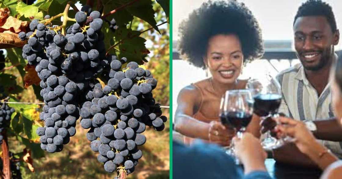 Wine shortage looms Wine shortage looms