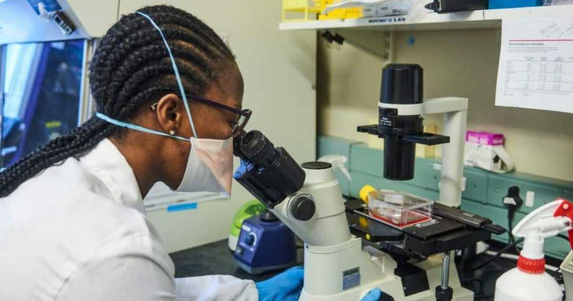 Delta, Omicron, Covid-19, coronavirus, vaccine, immunity, scientific study, South Africa Delta, Omicron, Covid-19, coronavirus, vaccine, immunity, scientific study, South Africa