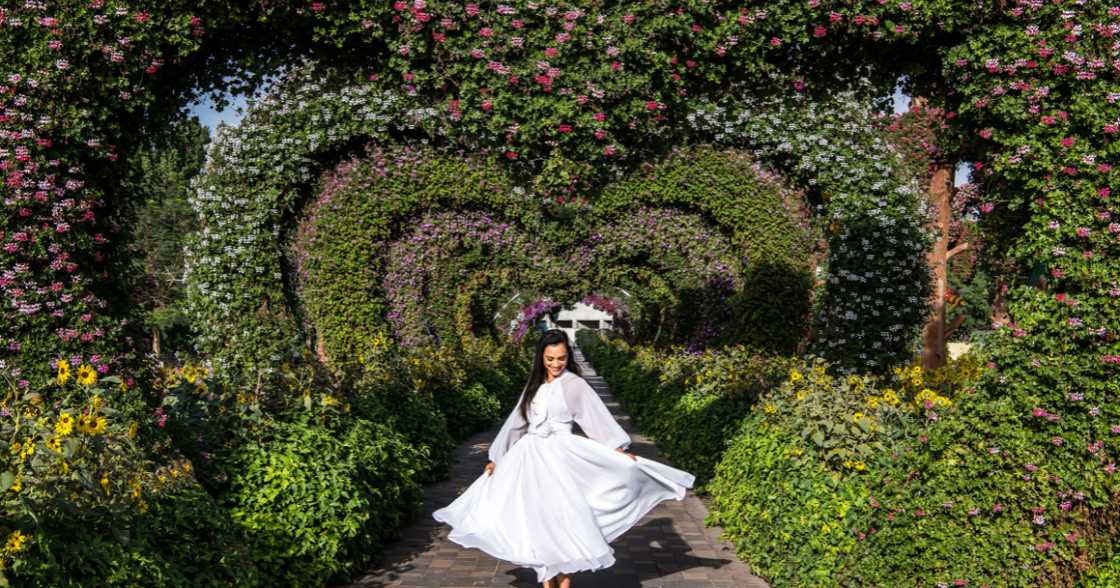 The secure foundation is what makes everything else possible and is the reason people can confidently pursue their ambitions, raise their families, and invest in their future in Dubai. The secure foundation is what makes everything else possible and is the reason people can confidently pursue their ambitions, raise their families, and invest in their future in Dubai.