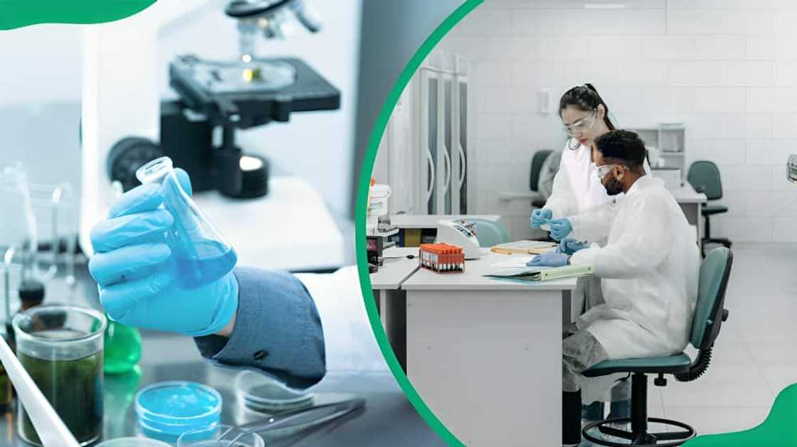 How much is a DNA test price in Johannesburg How much is a DNA test price in Johannesburg