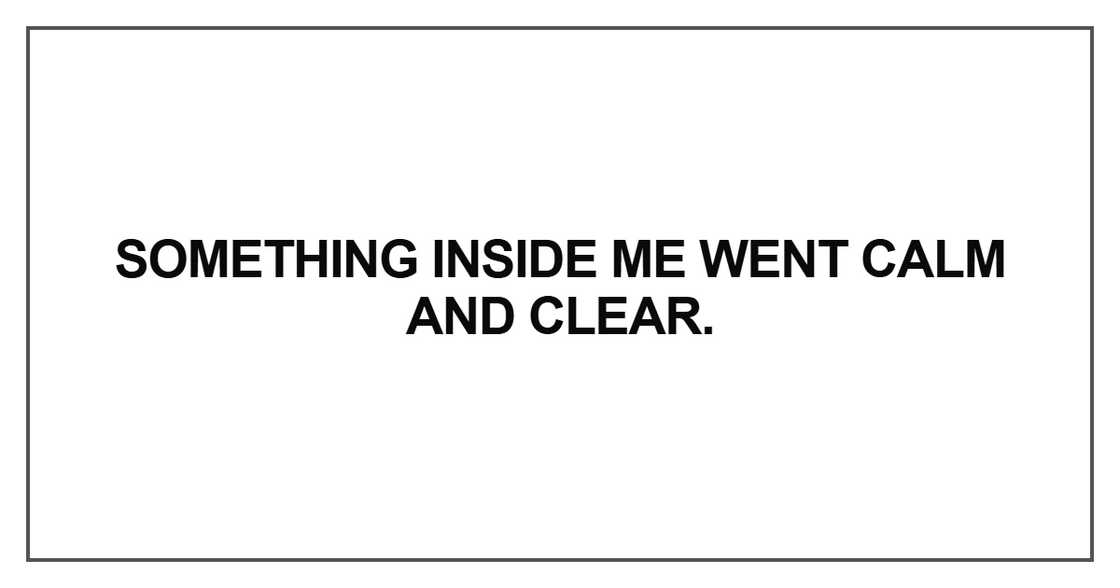 Something inside me went calm and clear