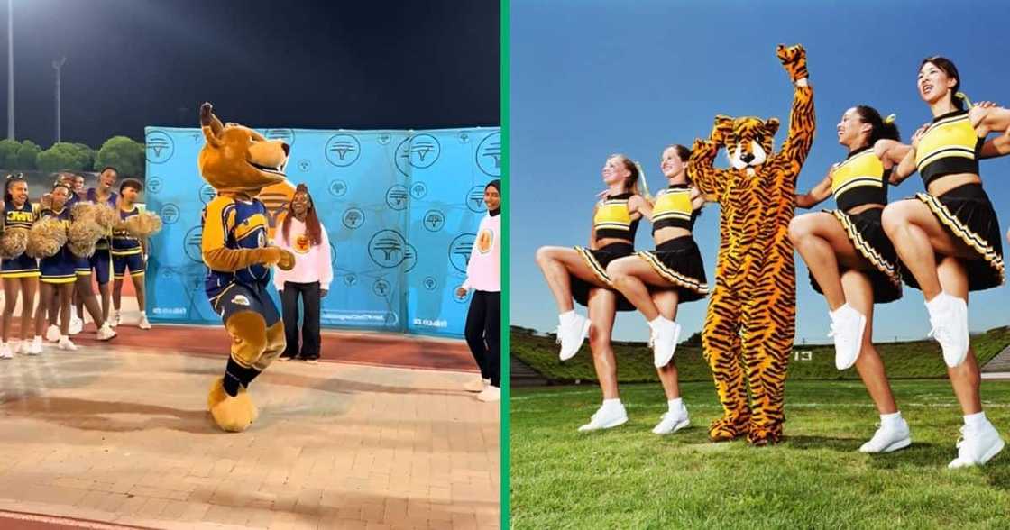 A UWC mascot showed off lit moves in a TikTok video.