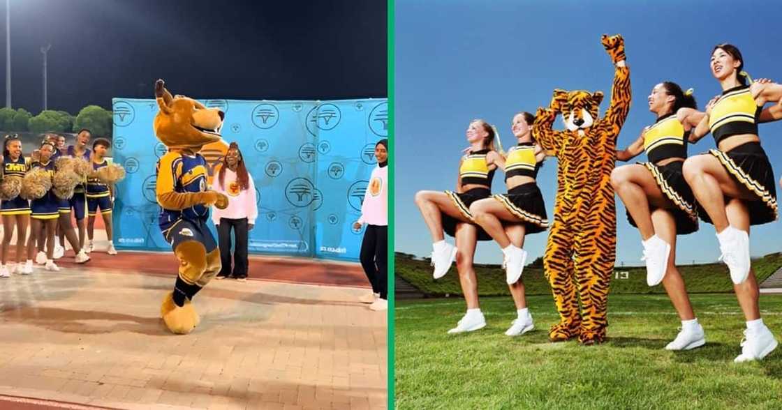 A UWC mascot showed off lit moves in a TikTok video. A UWC mascot showed off lit moves in a TikTok video.