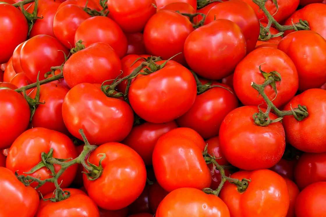 Tomatoes are among the most profitable vegetables to grow in South Africa Tomatoes are among the most profitable vegetables to grow in South Africa