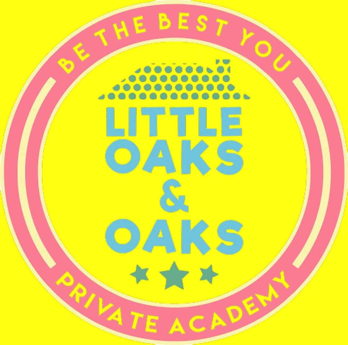 military schools for troubled youth military schools for troubled youth