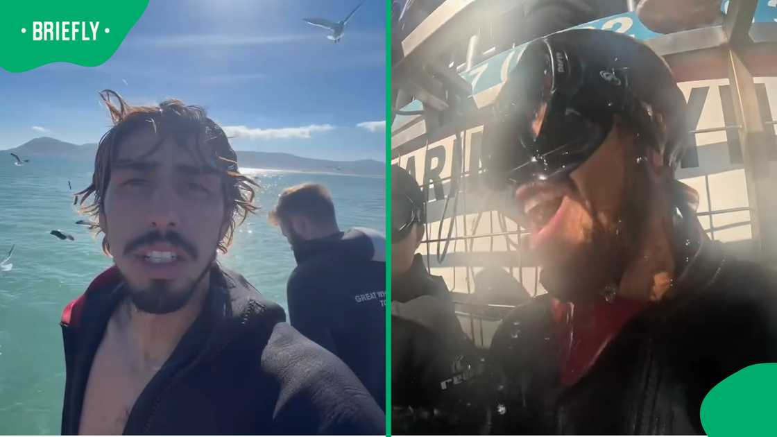 Jason Vanpoppal took on a shark cage diving experience