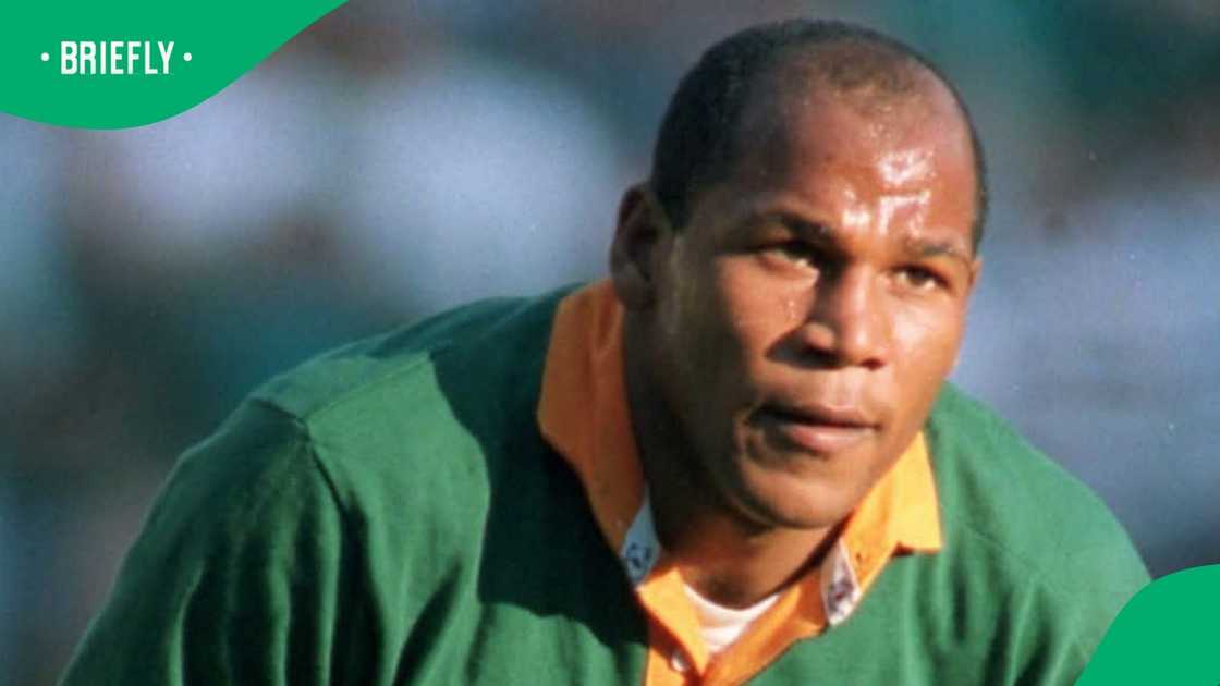 Springboks, South Africa, Chester Williams