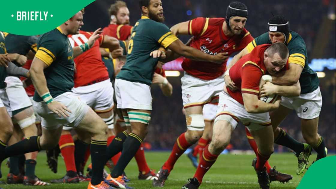 Springboks, Johan Goosen, Springboks, South Africa, Wales Springboks, Johan Goosen, Springboks, South Africa, Wales