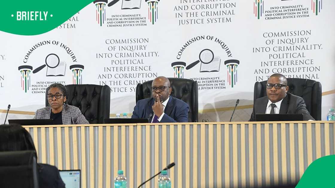 SAPS' Acting National Deputy Commissioner Hilda Senthumula commented about the PKTT