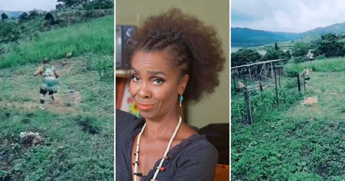 Woman chasing chicken Woman chasing chicken