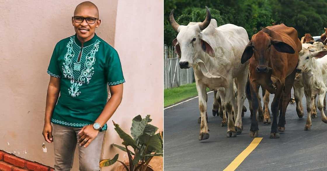 Divorcee talks about R100 000 lobola Divorcee talks about R100 000 lobola