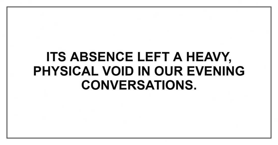 Its absence left a heavy, physical void in our evening conversations. Its absence left a heavy, physical void in our evening conversations.