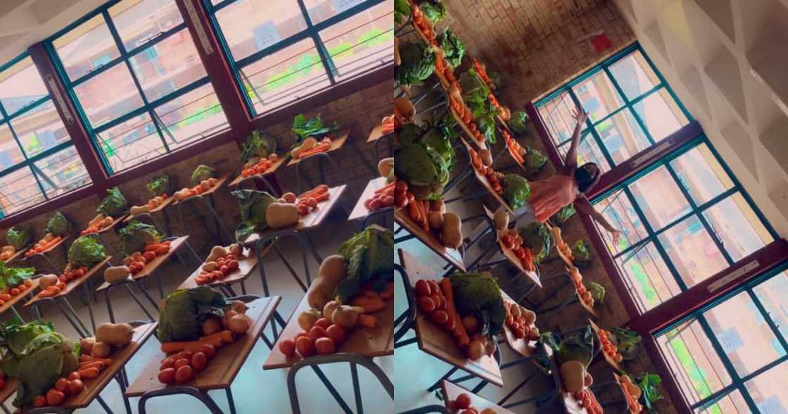 Teacher Shares Pics of Food Parcels Her School Makes, SA Loves It Teacher Shares Pics of Food Parcels Her School Makes, SA Loves It