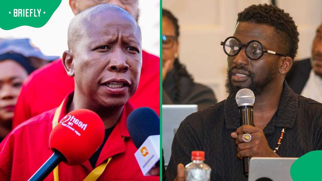 Economic Freedom Fighters President Julius Malema slammed Patriotic Alliance MP Ashley Sauls for praising Paul O'Sullivan Economic Freedom Fighters President Julius Malema slammed Patriotic Alliance MP Ashley Sauls for praising Paul O'Sullivan
