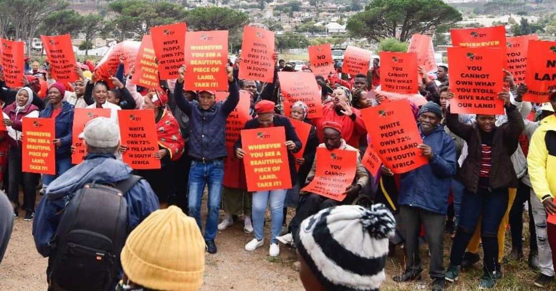 EFF, protesting outside Johann Rupert's farms, Stellenbosch, Mpumalanga #EFFlandDay, land grabs EFF, protesting outside Johann Rupert's farms, Stellenbosch, Mpumalanga #EFFlandDay, land grabs